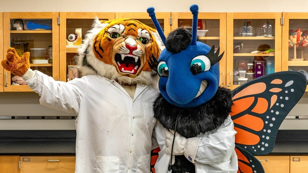 SUNY Cobleskill mascot posing with Maria College's mascot