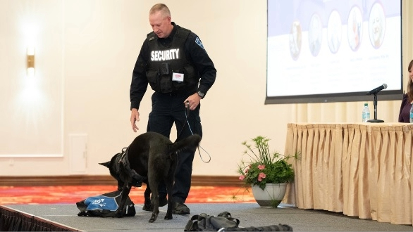 K-9
