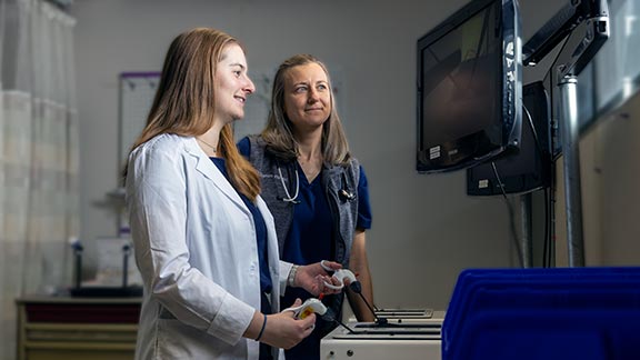 Education & Training at Bassett