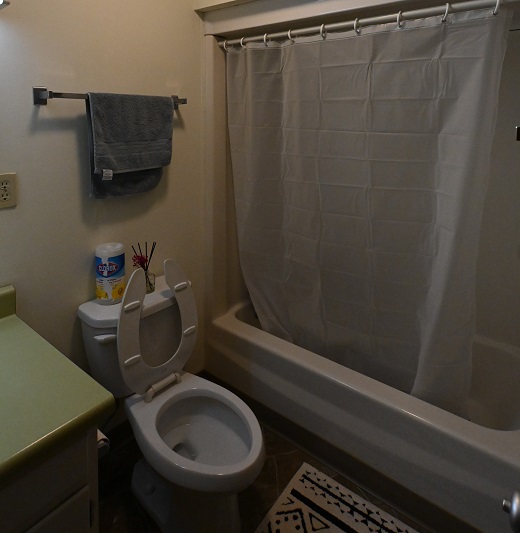 Fernleigh Apartment - Bathroom