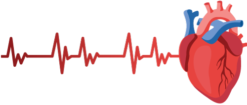 Human heart animated graphic with healthy EKG lines