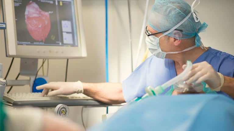 doctor providing vascular care